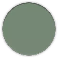Aurora Green
